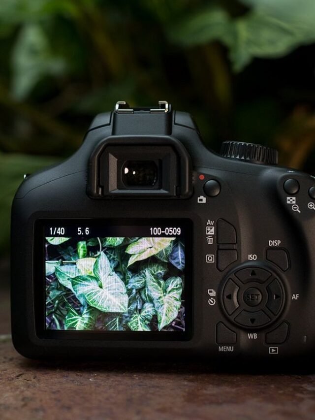 10 Of The Best Cameras For Beginners - Daira Technologies Private Limited