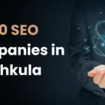 SEO Companies in Panchkula