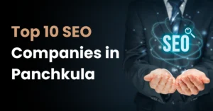 SEO Companies in Panchkula